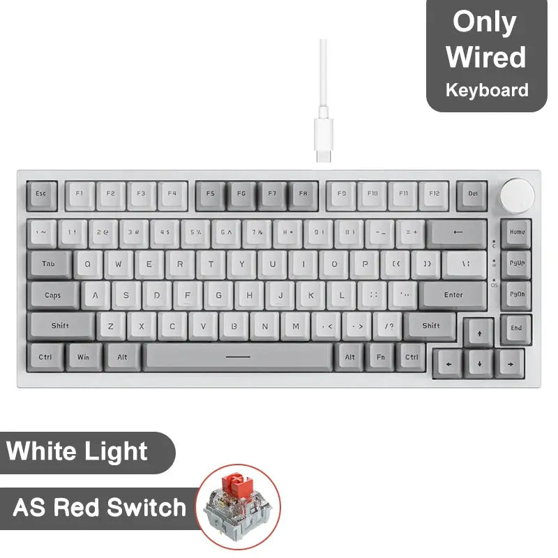 Ajazz AK820/AK820Pro Gaming Mechanical Keyboard Bluetooth 5.1/Wireless/C-Wired Customized Keyboard with Knob Hot Swapping Gasket - Magic Remotes